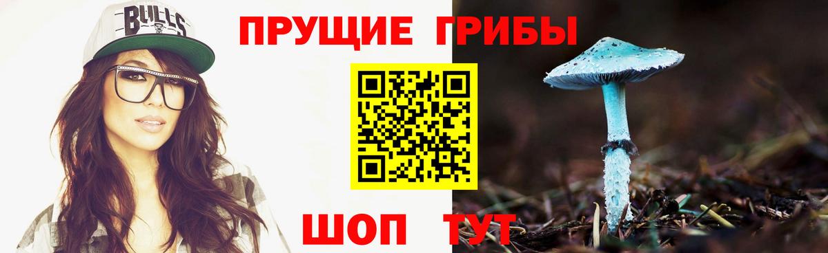 Галлюциногенные грибы Cubensis  Галлюциногенные грибы GOLDEN TEACHER  Нижний Новгород  Вход с VPN 